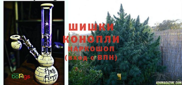 дмт Абаза